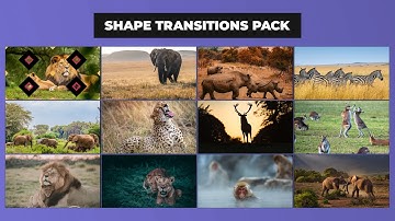 Shape Transitions Pack After Effect Template