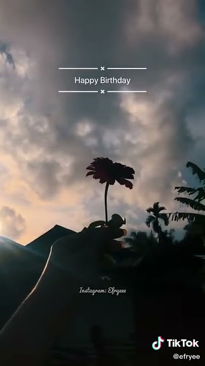ciee ciee ada yang ulang tahun pipipipi happy birthday