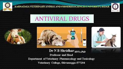 ANTIVIRAL DRUGS: INTRODUCTION,CLASSIFICATION, MECHANISM OF ACTION BY   Dr N B SHRIDHAR 16-6-2021