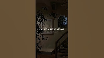 ﴿ وَسيقَ الَّذينَ اتَّقوْا رَبَّهم إِلَى الْجنَّةِ زُمرًا ﴾سورة الزمر الآية : 73 | القارئ شريف مصطفى