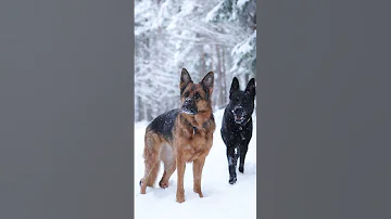 There Is ALWAYS Time For Winter Adventures 