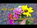 Das Sonnenblümchen - Ein Valentinstags-Gedicht