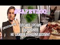 CAPEVLOG: НЕ ВСЕМ ОБЕЩАНИЯМ СУЖДЕНО ...