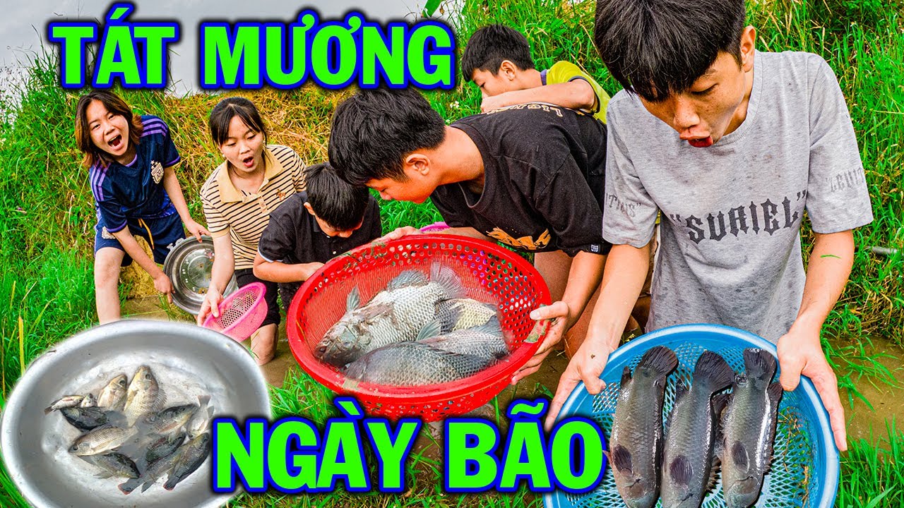 Thái Chuối Một Ngày Sinh Tồn Tát Mương Cá Ngày Mưa Bão