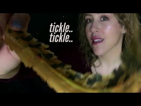 asmr--tickle-tickle-•-personal