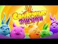 Лучшие приключения - Солнечные зайчики | Сборник мультфильмов для детей