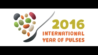 Global highlights of IYP 2016