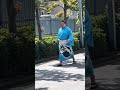 令和7年9月場所 千秋楽 国技館入りする狼雅