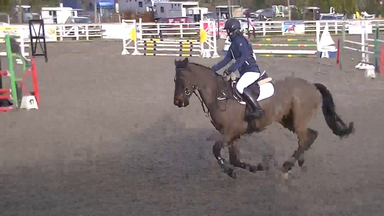 Toddy Coilog Combined Training 1.10