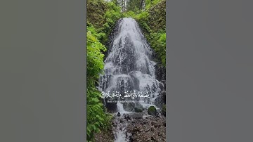 اكتب شيء تؤجر عليه ❤️  #قرآن #تلاوة_خاشعة #عبدالرحمن_مسعد #اكسبلور
