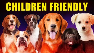 Top 6 ChildFriendly Dogs & Their Winning Traits