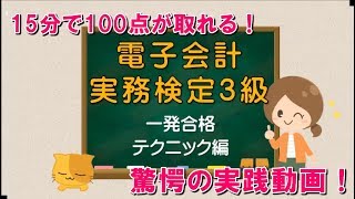 目指せ！簿記マスター　電子会計実務検定3級　一発合格テクニック編