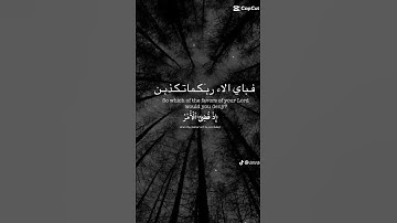 وانذرهم يوم الحسرة«سورةمريم» القارئ عبد الرحمن مسعد