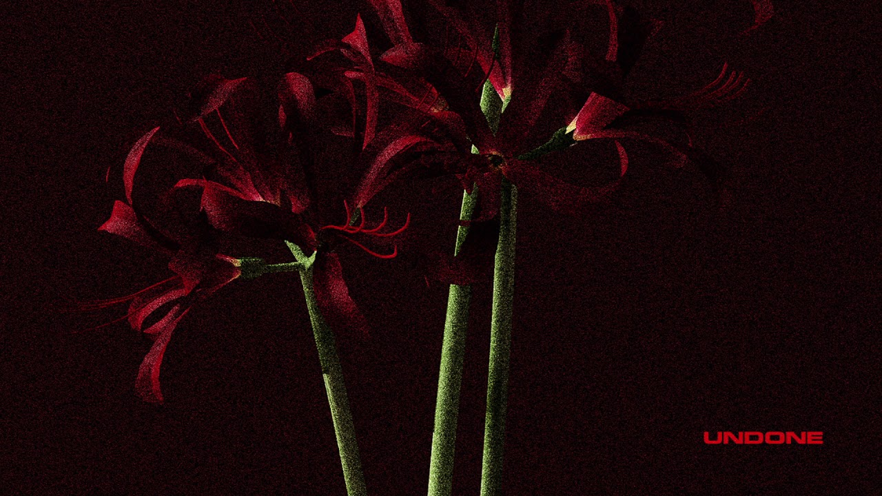 Sweekuh & DEANNA - Undone (Audio) adlı videoyu YouTube'da izle Sweekuh & DEANNA - Undone (Audio) adlı videoyu YouTube'da izle