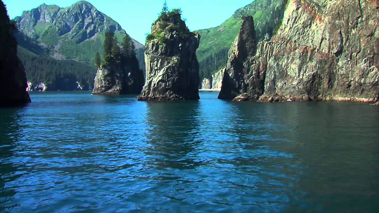 Kenai fjords national park cruise coupons