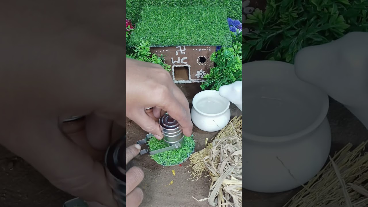 rice, tomato dall and curd for mini lunch 