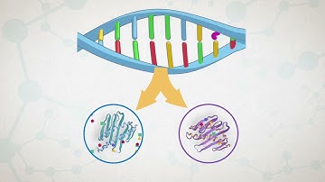 5 - Metabolomics