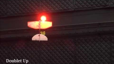 DelFly Doublet pitch down and then up