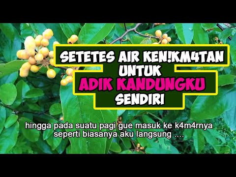 Kisah Nyata ✔️ Adik kandungku