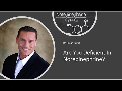 Are You Deficient In Norepinephrine?