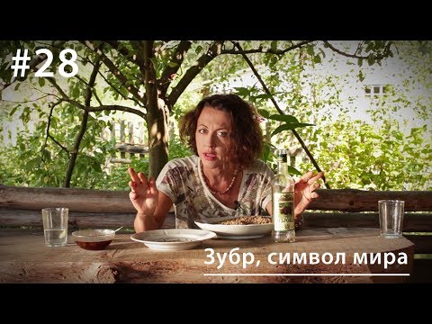 Зубр, символ мира // Все как у зверей в Беловежской пуще, #28