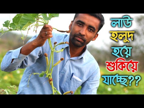 ভিডিও: পারস্পরিক জালি কেন গুরুত্বপূর্ণ?