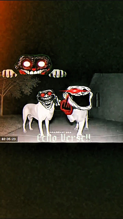 Wait For End(Edit) — Slowed to Perfection (Ultra Slowed   Reverb)