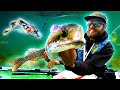 Best Lure for PIKE FISHING in Early Fall?! 🐊🍂 (Insane Attacks!!!)