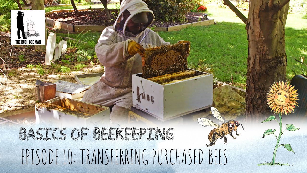 10 Tips for New Beekeepers