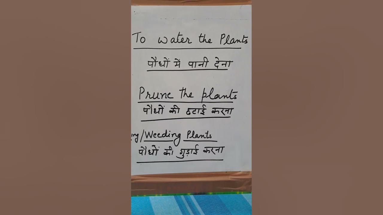 paudho-ko-pani-dena-in-english-youtube