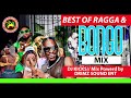 DJ KICKS RAGGA FT BONGO MIX POWERD BY DRIMZ SOUND ENT