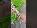 登山绳结技巧,20秒就能学会
