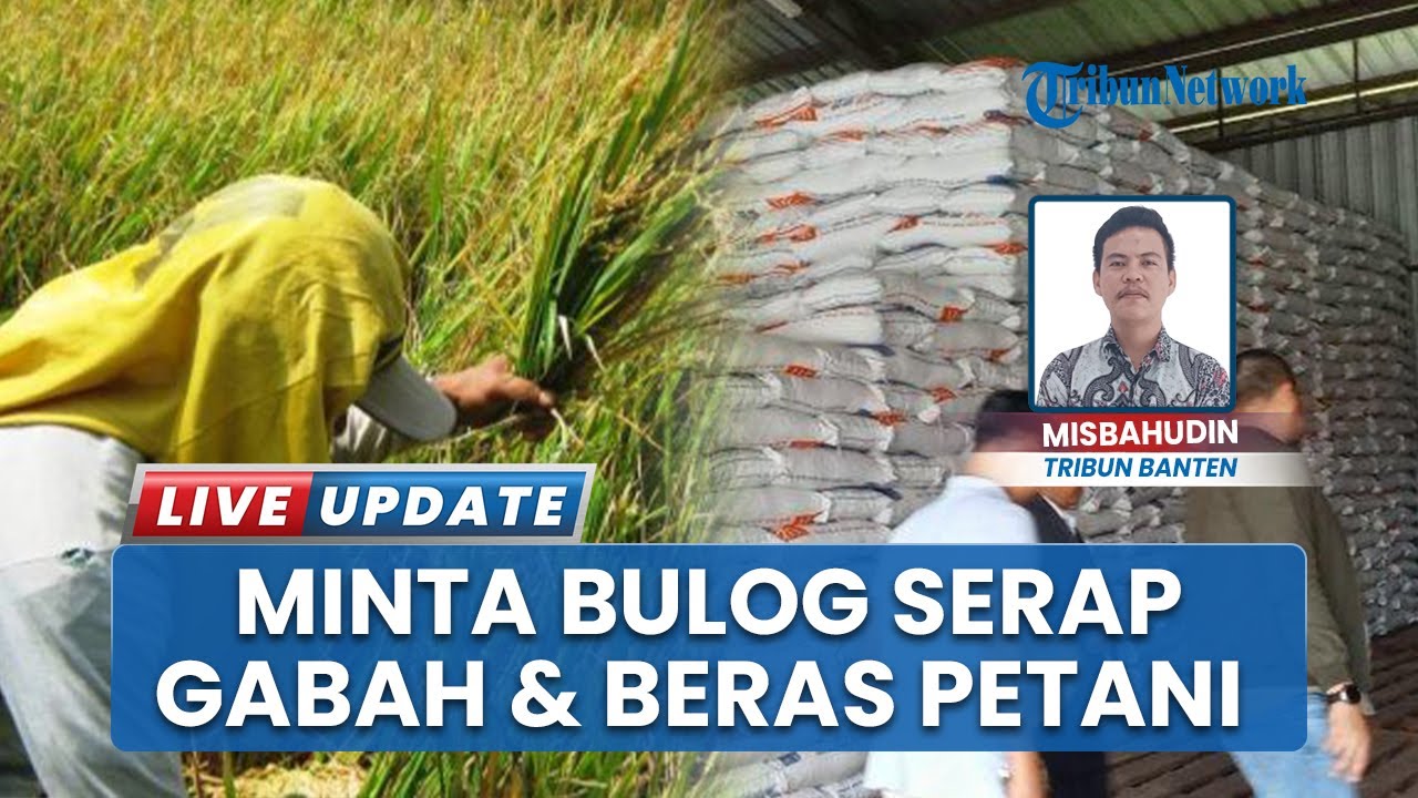 Pastikan Harga Gabah Sesuai HPP, Komisi II DPRD Pandeglang Kunjungi Kantor Bulog Lebak-Pandeglang