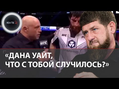 Анкалаев Блахович бой | Кадыров ждет извинений от Дана Уайта за решение о ничьей | Скандал в UFC