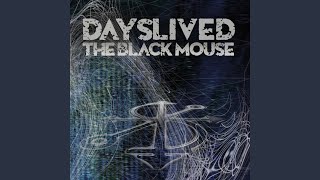 Miniatura de vídeo de "Dayslived - The Black Mouse"
