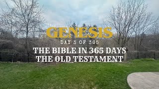 DAY 003 | GENESIS 8-11 | NIV | Audio Bible in 365 Days' journey! | Listen Anytime, Anywhere!