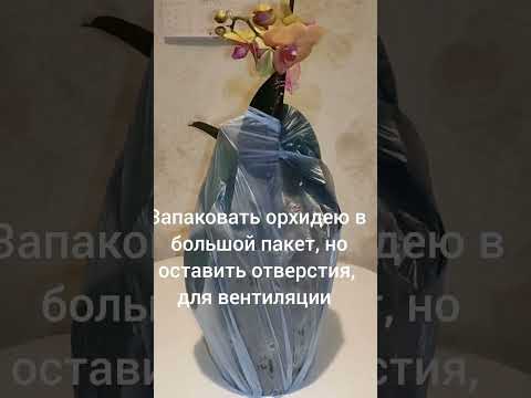 Быстро восстановить тургор