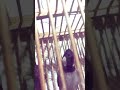 ختمنه الترند اني والبلبله اكسبلور مالي خلق احط هاشتاقات ترند بلبل العراق ضحك ختمنه الترند اني والبلبله اكسبلور مالي خلق احط هاشتاقات ترند بلبل العراق ضحك