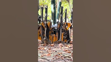 Tree Spade Machine in Action: Transplanting Trees with Root Balls