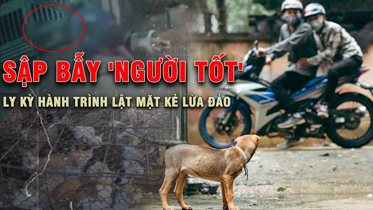 ĐIỀU TRA ĐỘC QUYỀN: Thủ đoạn dựng kịch bản, giả giọng miền khiến nạn nhân MẤT CẢ TIỀN LẪN CHÓ!