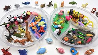 6 Mini World In The Lunch Box Dino World, Safari Ocean Animals For Kids