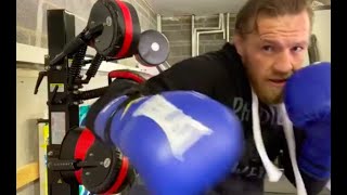 Conor McGregor on Boxmaster