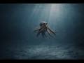 MetinDeep – Low Gravity | Chill Deep House | Deep Flow