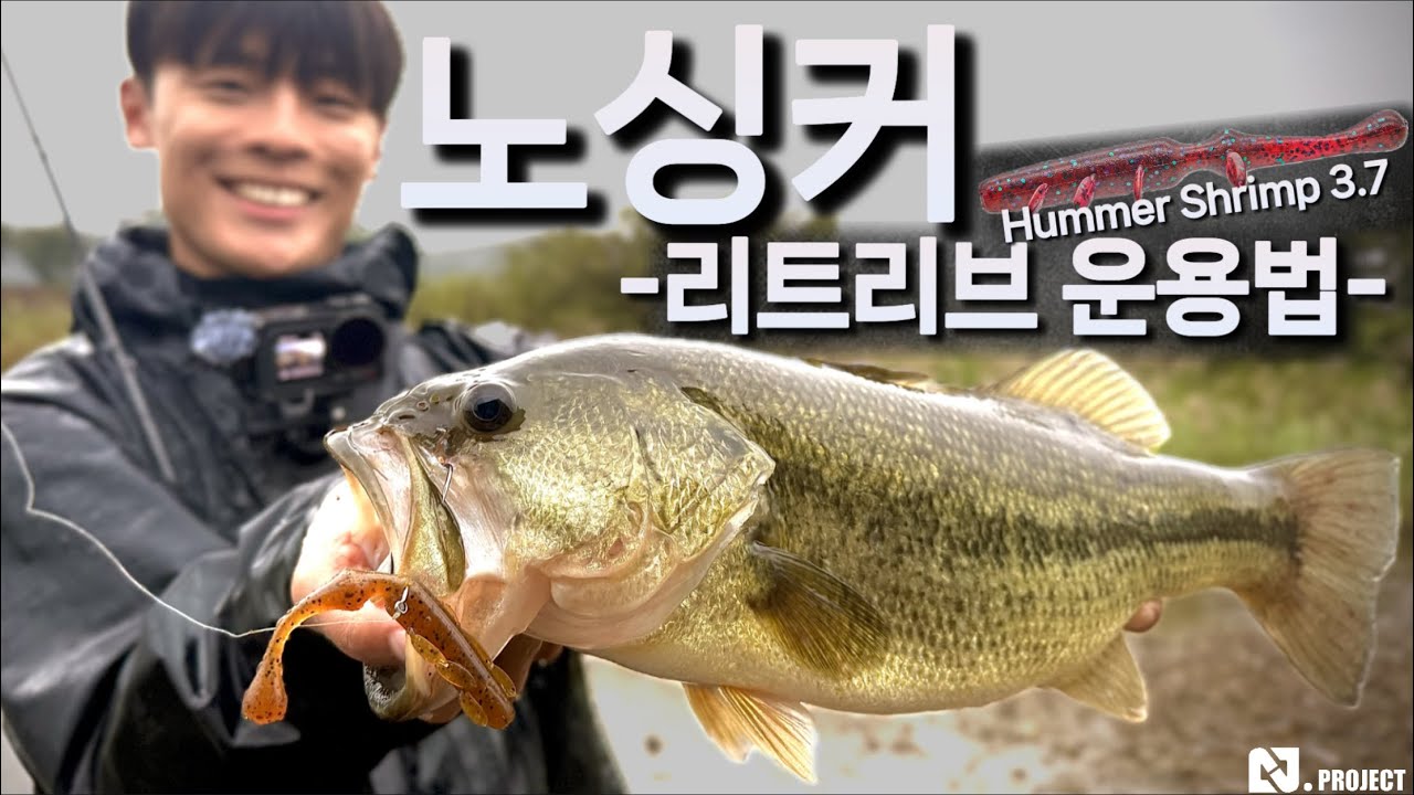 쉐드웜 보다는 부드럽게, I지(字)보다는 강하게 운용이 가능한 노싱커 공략법을 소개합니다