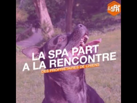 site rencontre propriétaire chien