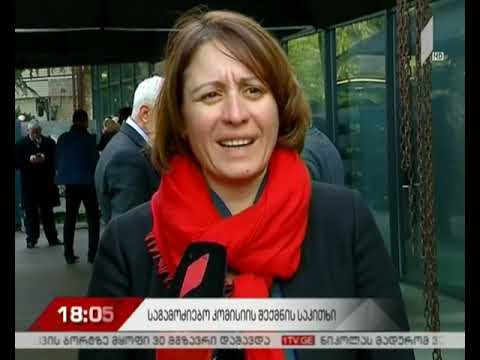 „ევროპული საქართველოს“ ინიციატივა