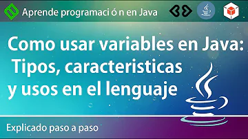 ¿Cuáles son los 2 tipos de lenguaje Java?