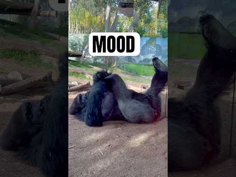 Me Waiting for the Weekend Be Like... π΄