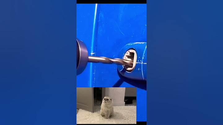 Rescue mission: breaking into Car to Save a Dog. Cat watches rescue #cat #catlover #dog #doglover