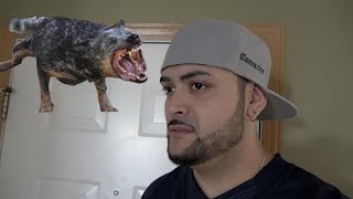 Na bro, he doesn't bite!!!!